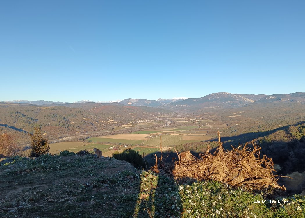 (04410) Puimoisson - Route départementale 8 (Alpes-de-Haute-Provence) — foto 4