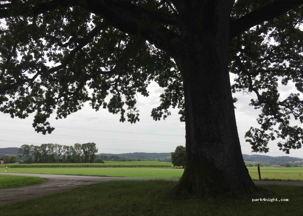 (8320) Uster - Usterstrasse — foto