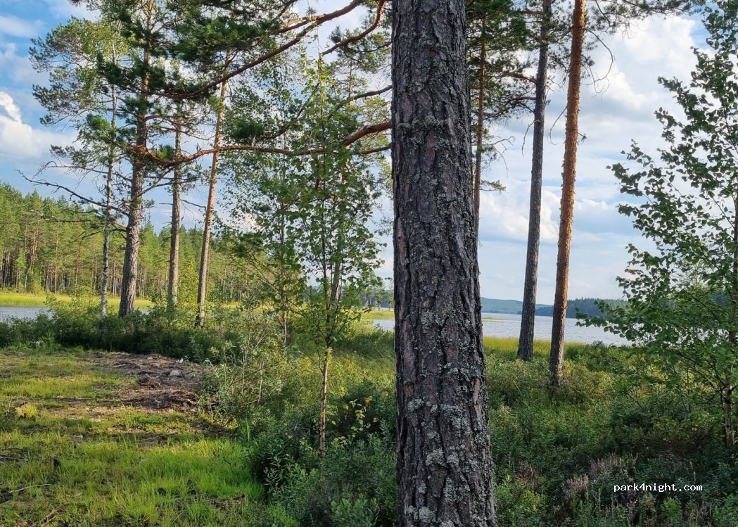 (793 92) Leksand - Unnamed Road — foto 2