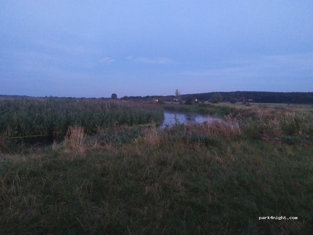 (16) Dzikie-Kolonia - Unnamed Road — foto