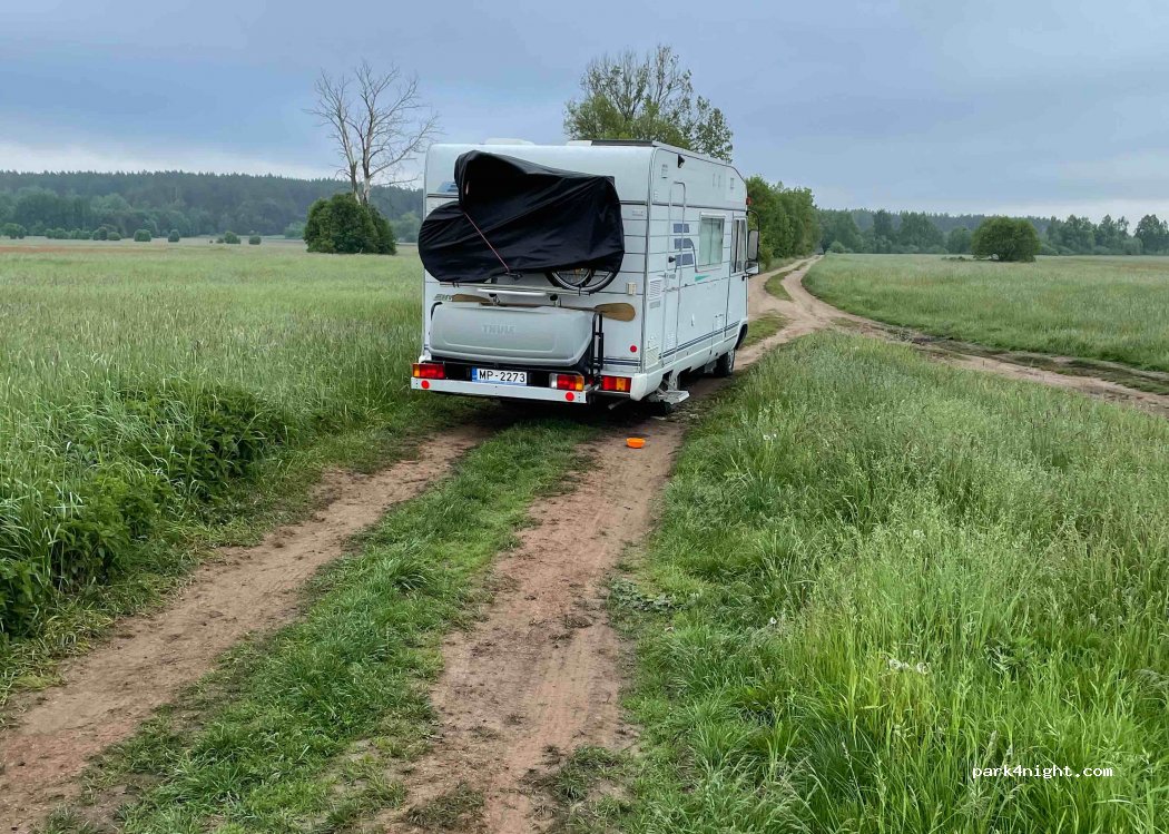 (16) Dzikie-Kolonia - Unnamed Road — foto 2