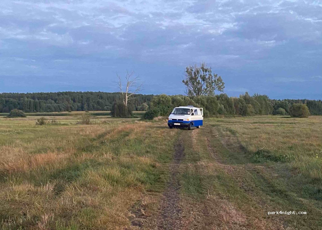 (16) Dzikie-Kolonia - Unnamed Road — foto 3