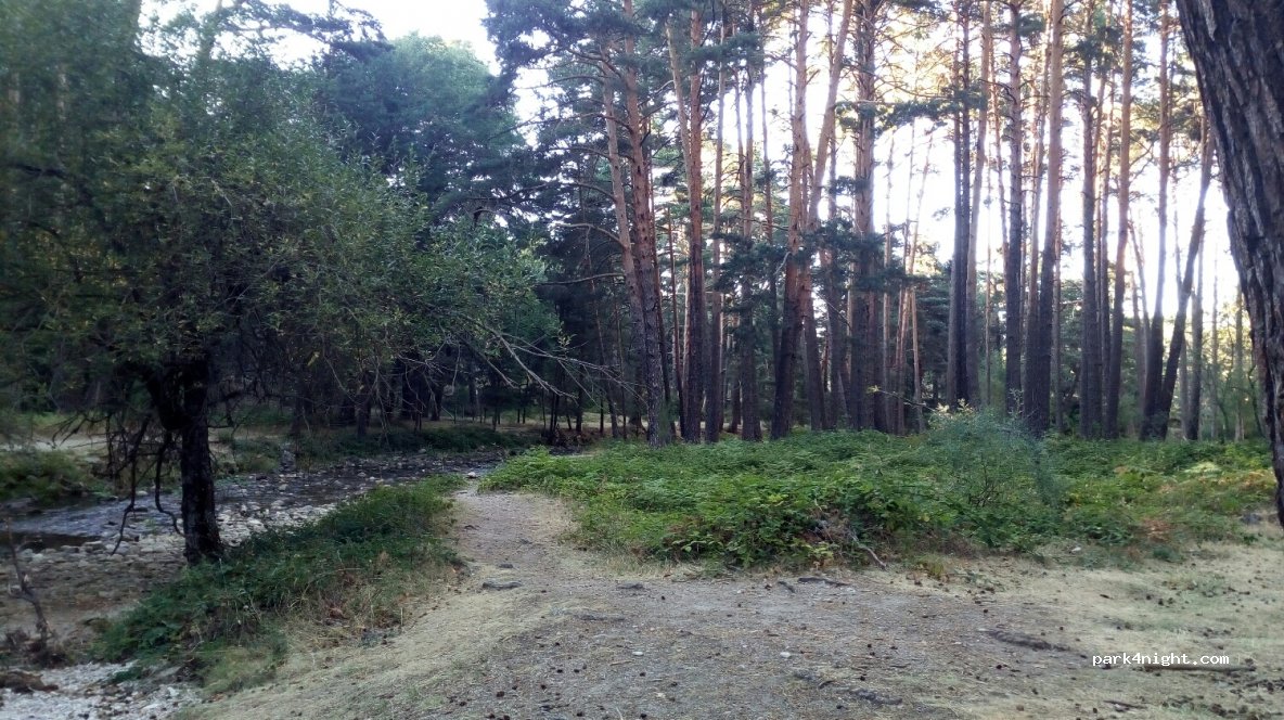 (40109) Real Sitio de San Ildefonso - 129-133 CL-601 — foto