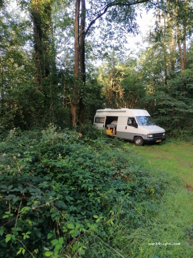 (65270) Peyrouse - D3 — foto