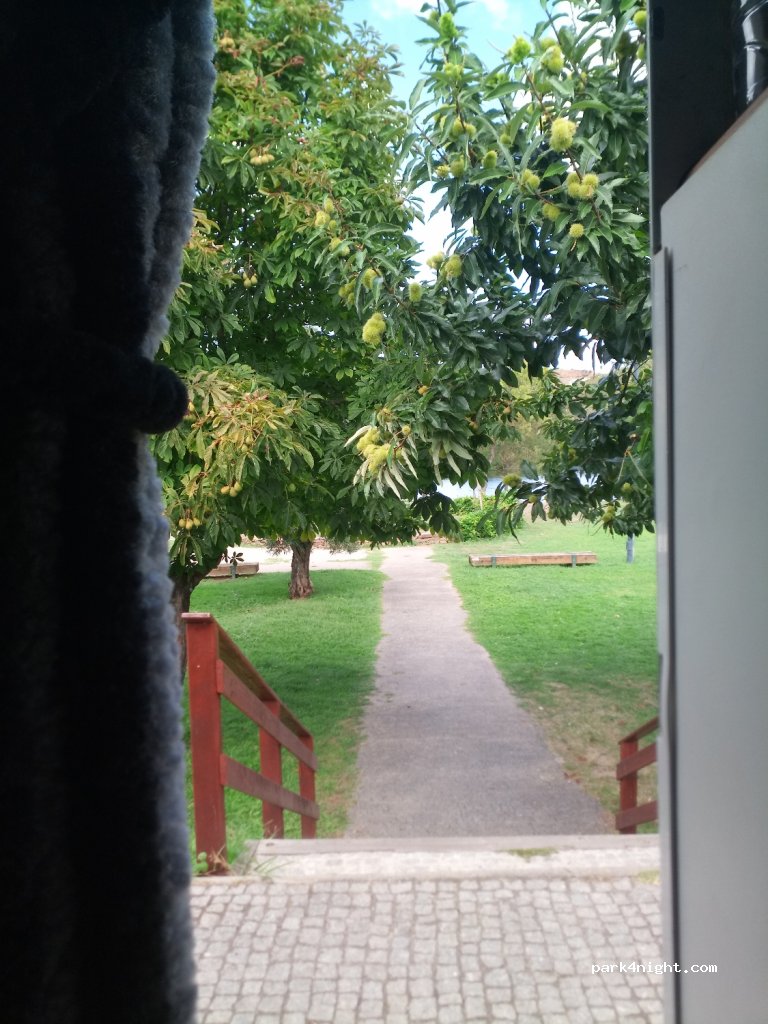 (5370-285) Mirandela - — foto