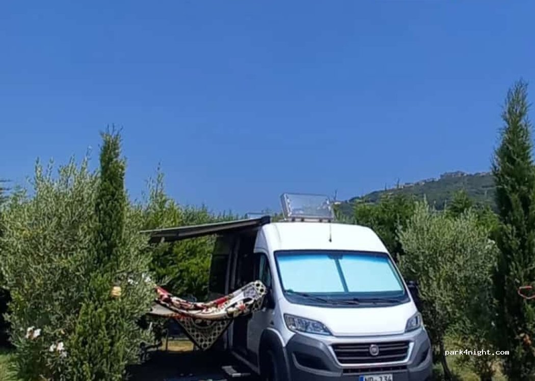 (58024) Massa Marittima - 18 Strada Regionale 439 Sarzanese Valdera — foto 5