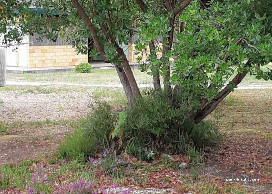 Camping Le Capdeville — foto 2