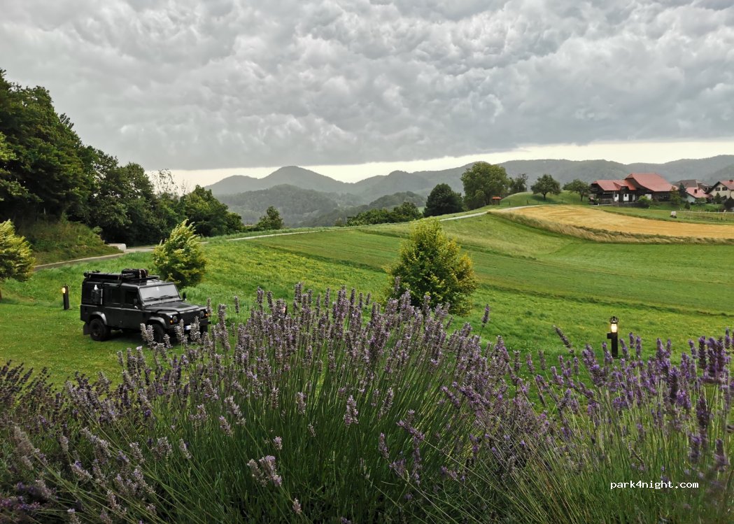 Domačija Artišek - Farmstay Artisek — foto 3