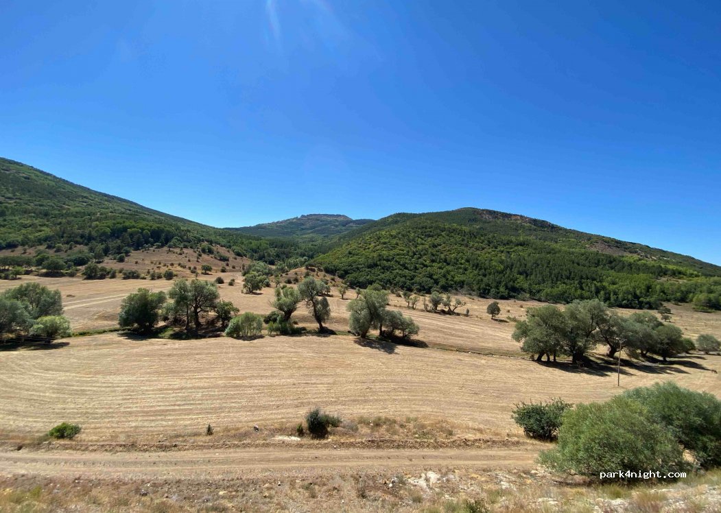 (29700)  - Torul Şiran Yolu — foto