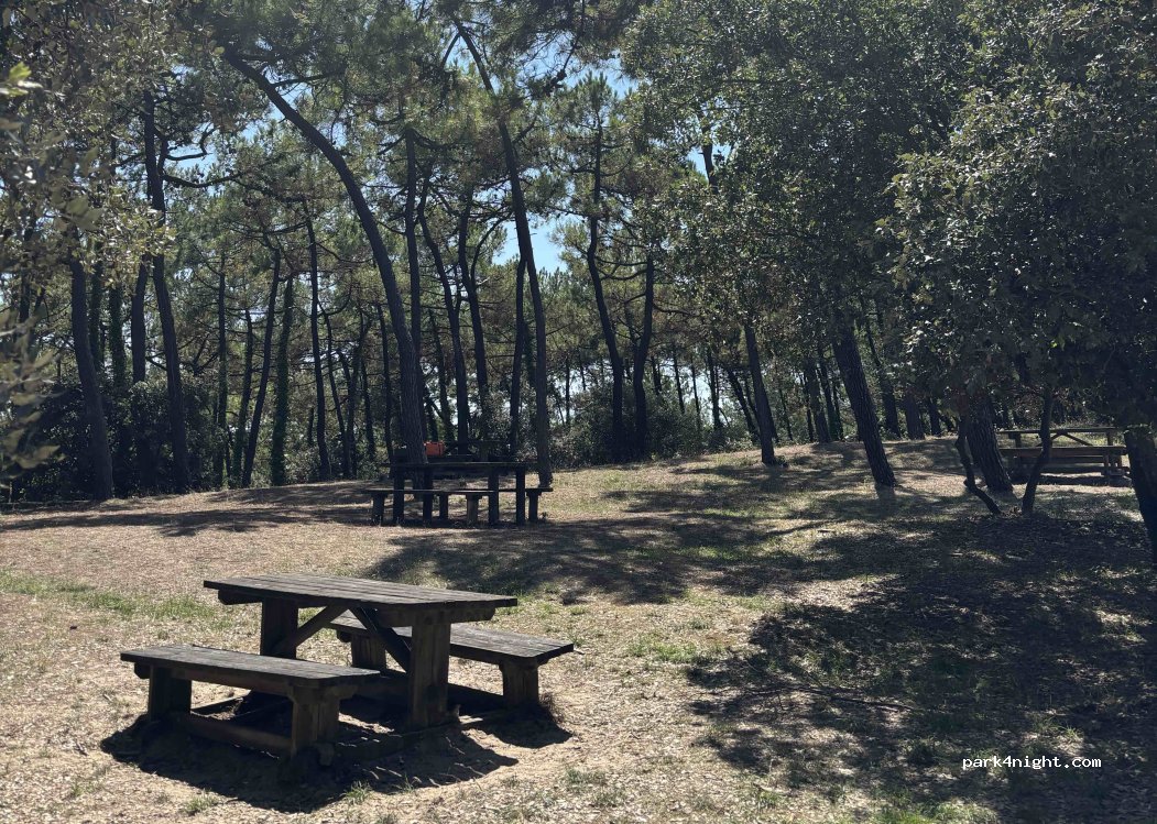 (85740) L'Épine - 1 Impasse du Moulin de la Bosse — foto 5