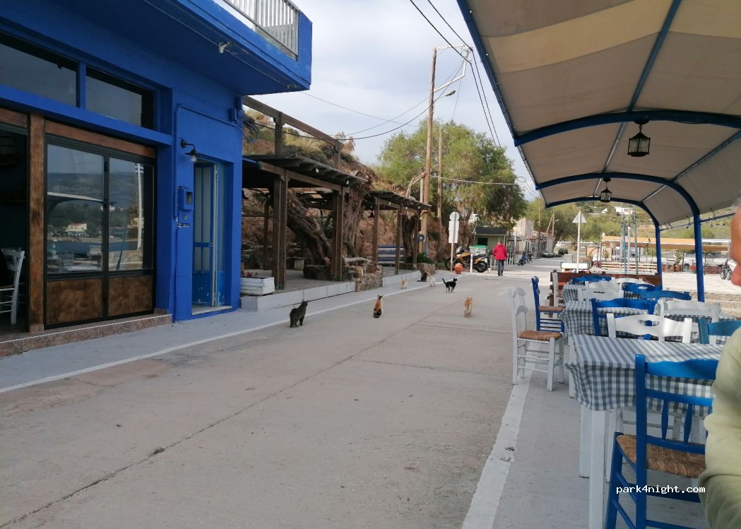 (82103) Volissos - — foto 2