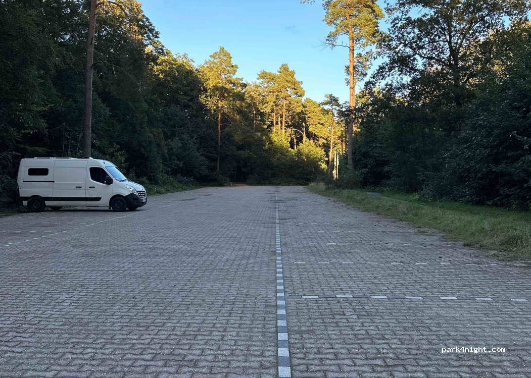 (8426 GG) Appelscha - Schapendrift — foto 4