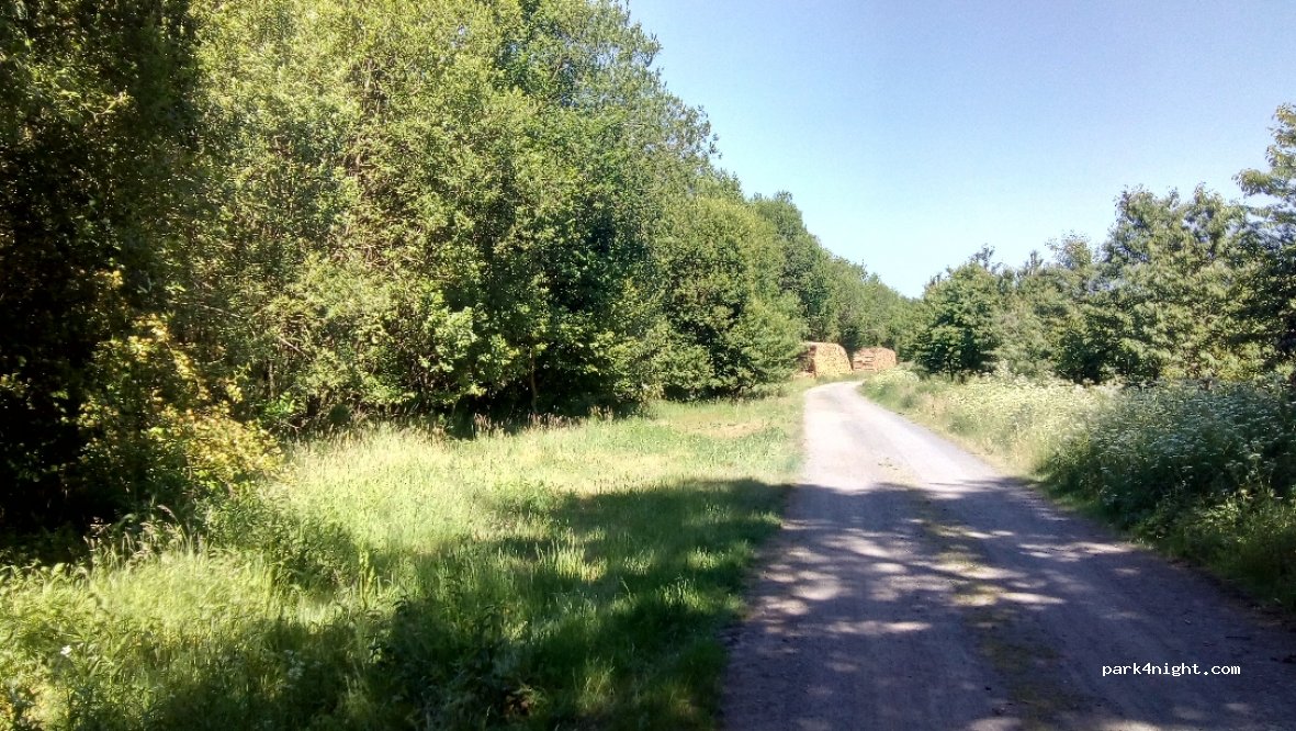 (48488) Emsbüren - Unnamed Road — foto