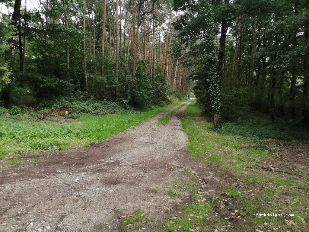 (56490) Mohon - Unnamed Road — foto