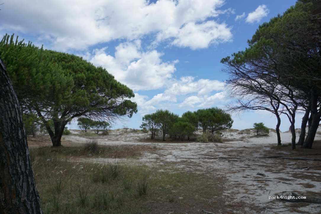 (08029) Siniscola - SP3 — foto