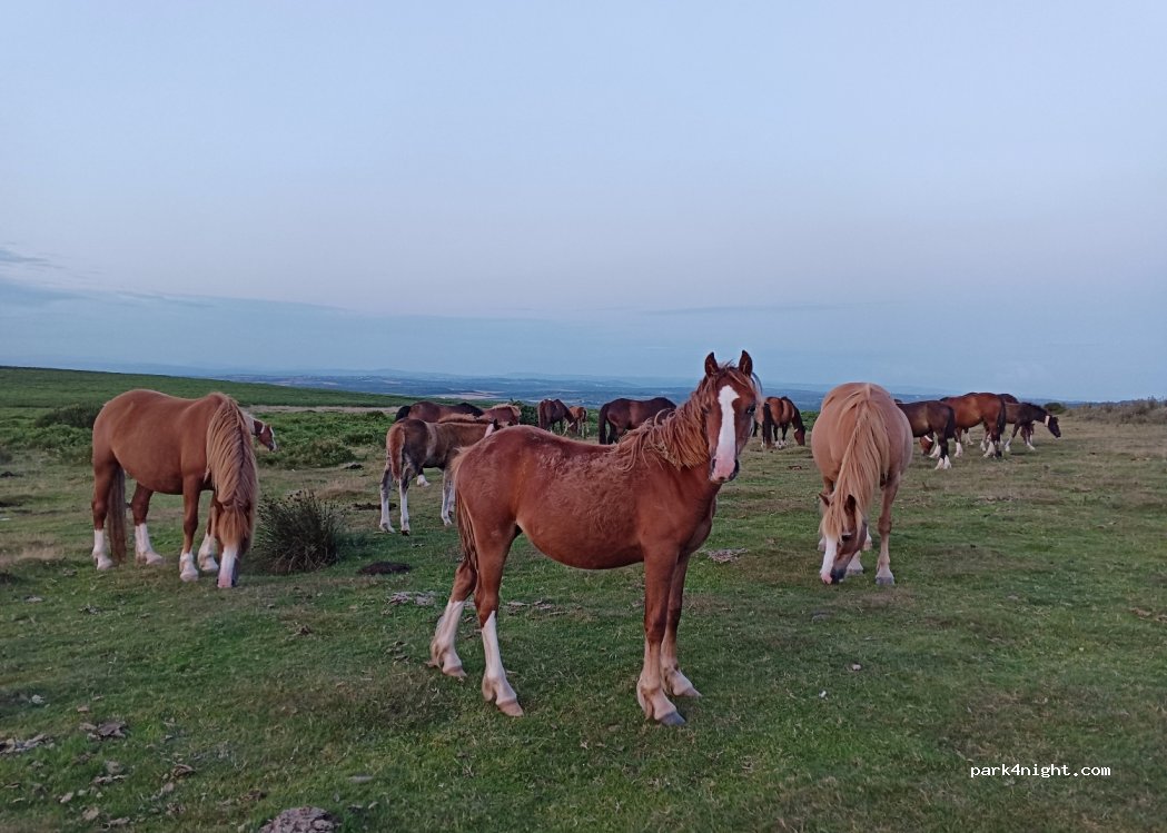 (SA3) Swansea - Unnamed Road — foto 4