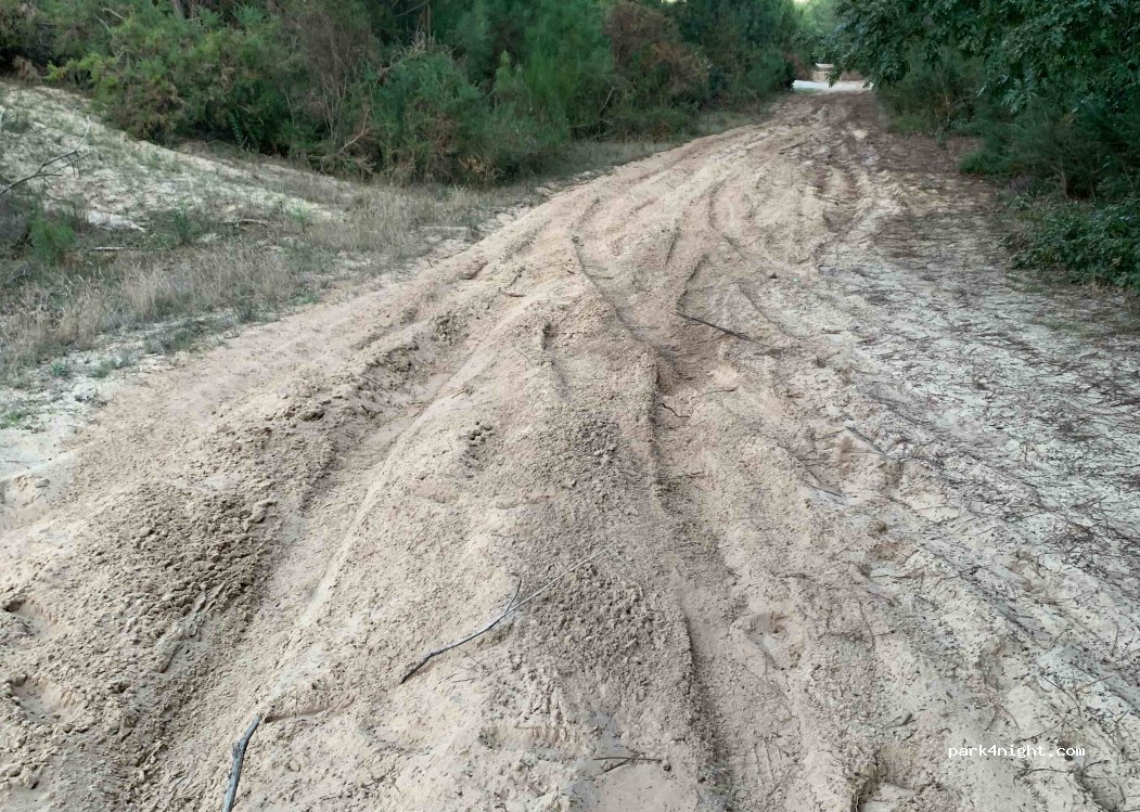 (40200) Mimizan - Unnamed Road — foto 2