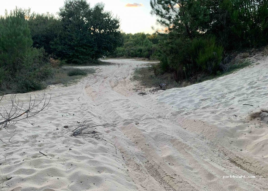 (40200) Mimizan - Unnamed Road — foto 3