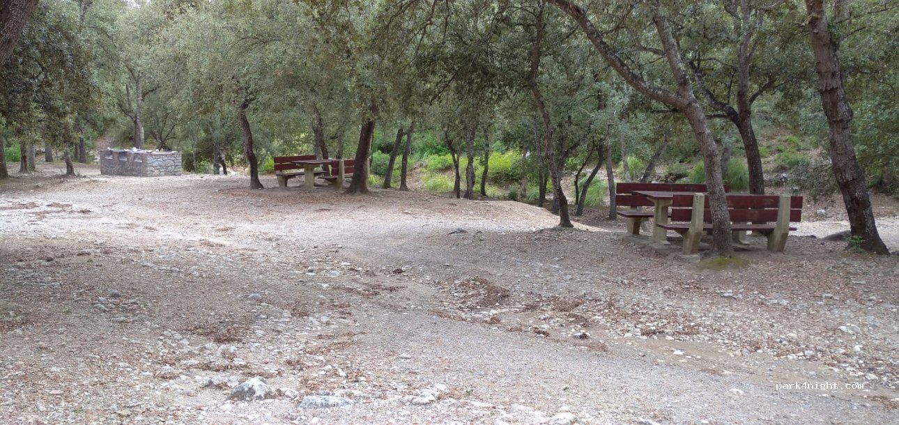 (07369) Selva - Unnamed Road — foto 2