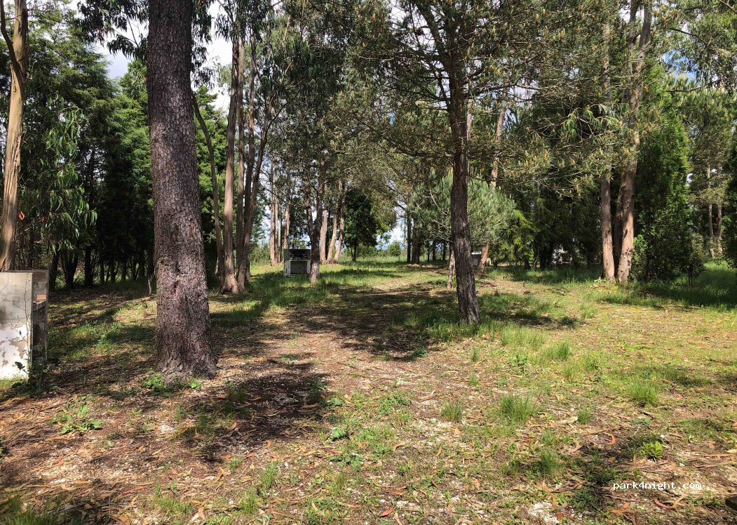 (2460) Maiorga - Az. das Chãs — foto 2