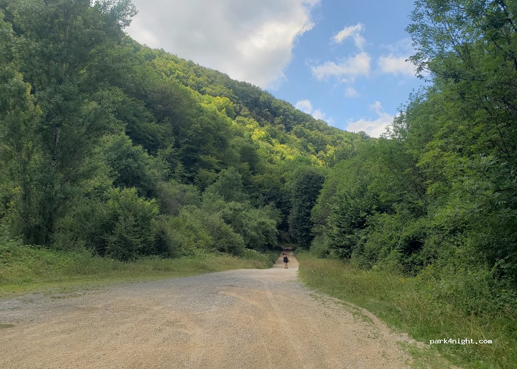 (24570) Condat-sur-Vézère - D62 — foto 3