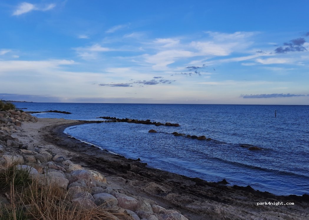 (4780) Stege - 41 Bundgarnet — foto