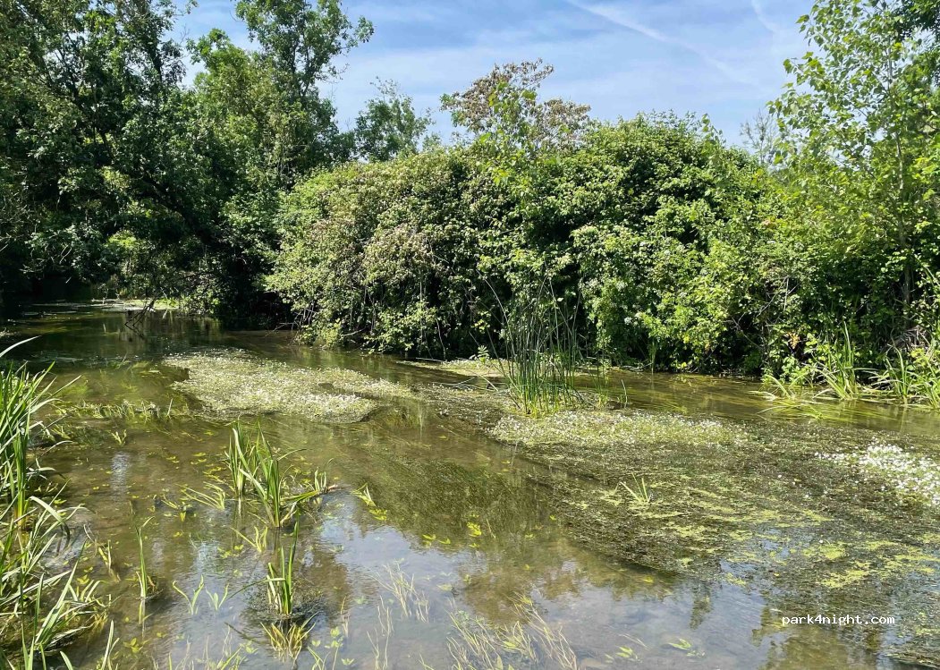 (85210) Sainte-Hermine - 52 Chemin du Fief du Magny — foto 4