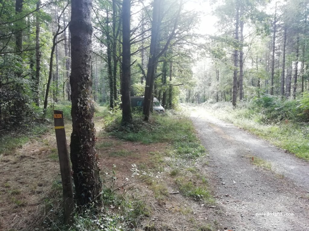 (65300) Pinas - Chemin du Moulin — foto 2