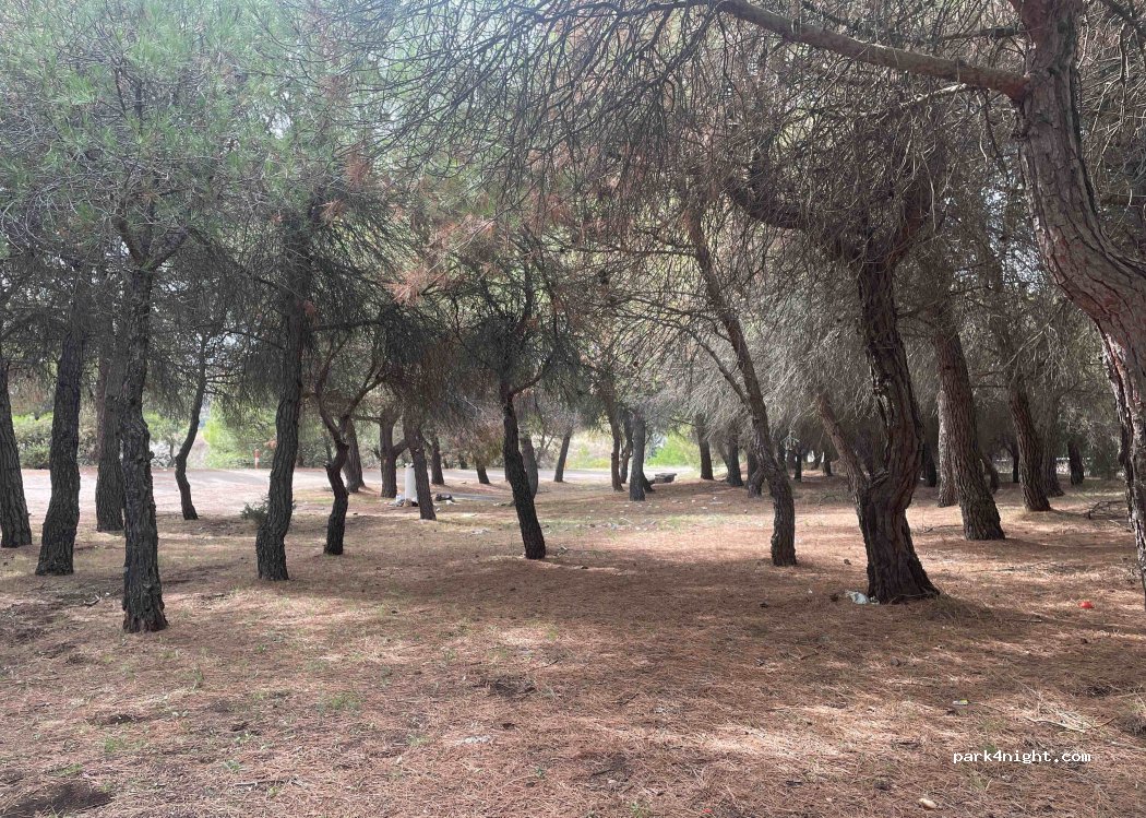 (50336) Calatayud - N-IIa — foto 3