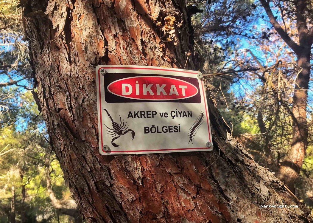 (17680) Çanakkale - Sulubahçe Yolu — foto