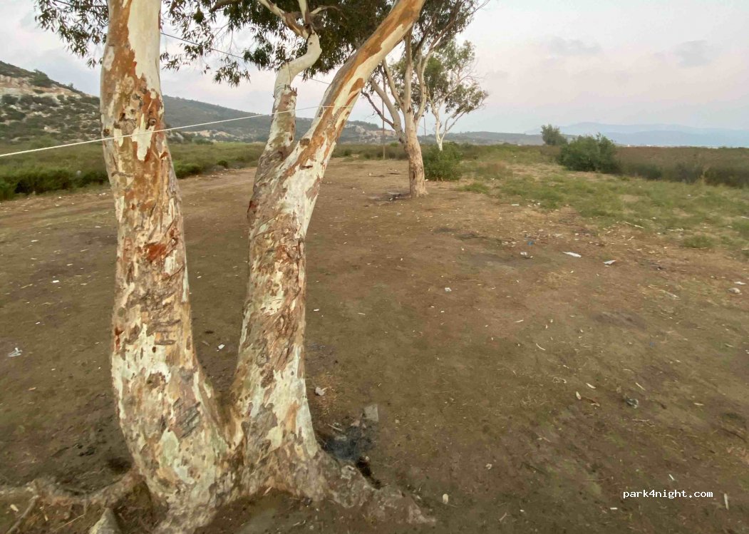 (35470) Ahmetbeyli - 17 4098. Sokak — foto