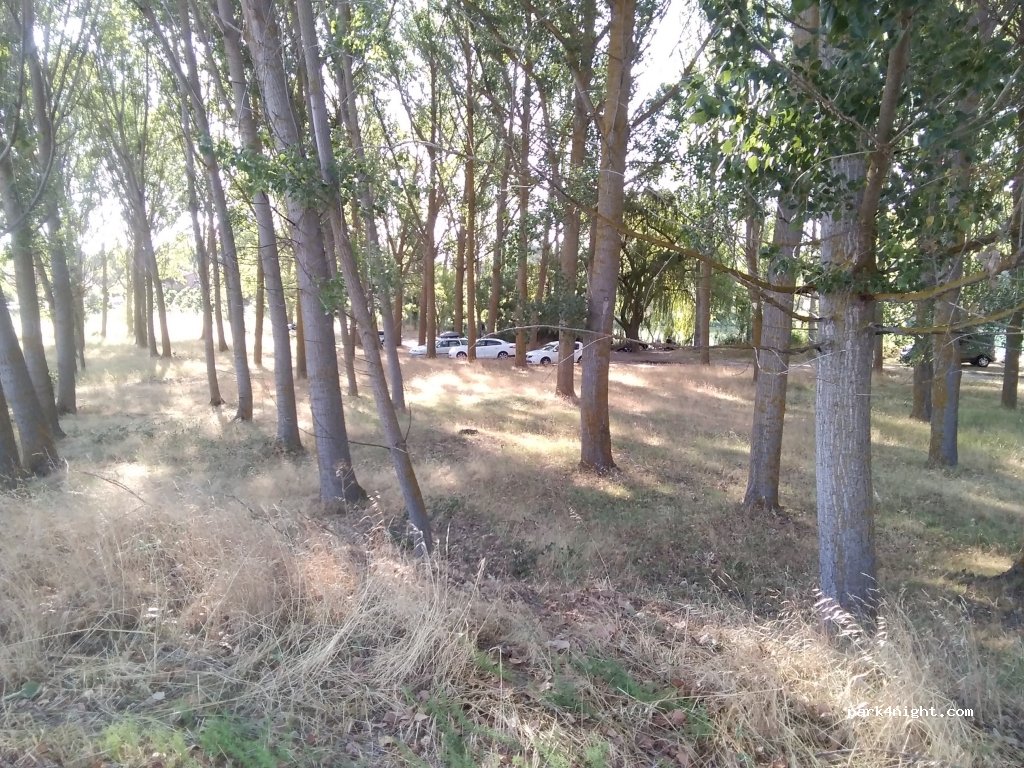 (40445) Juarros de Voltoya - SG-V-3214 — foto 2