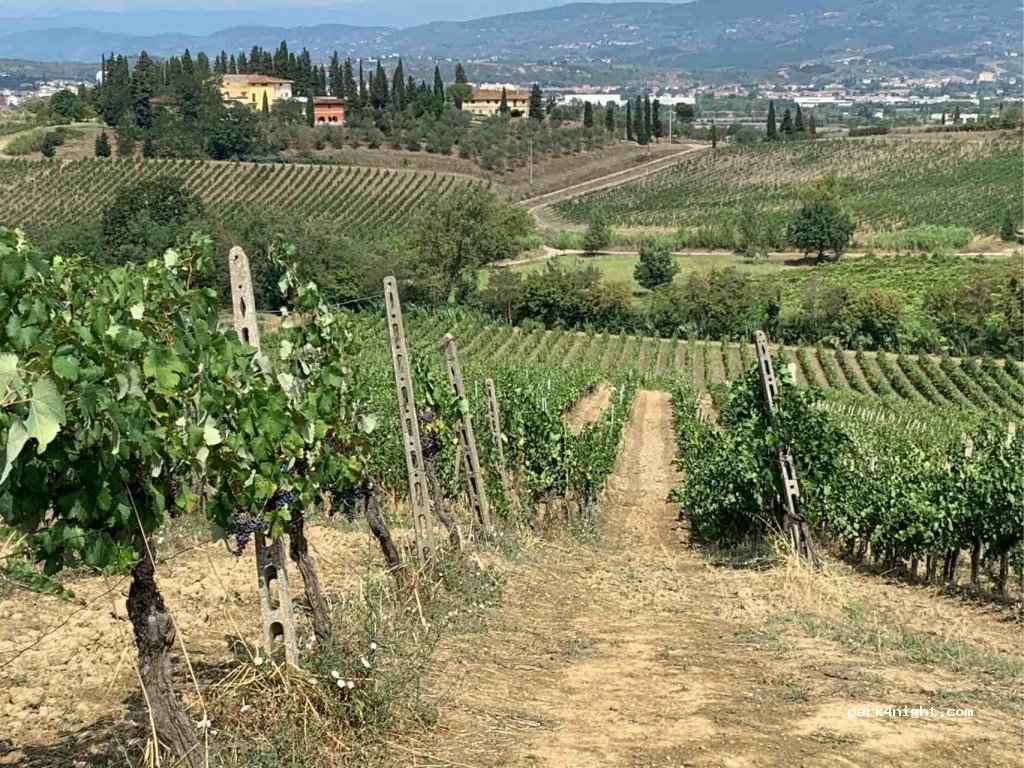 Azienda Agricola Montaioncino — foto