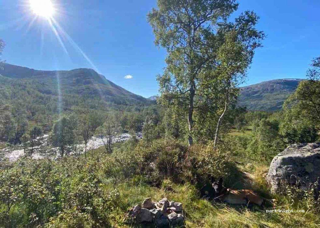 (6978) Viksdalen - Sekundær Fylkesvei 13 — foto