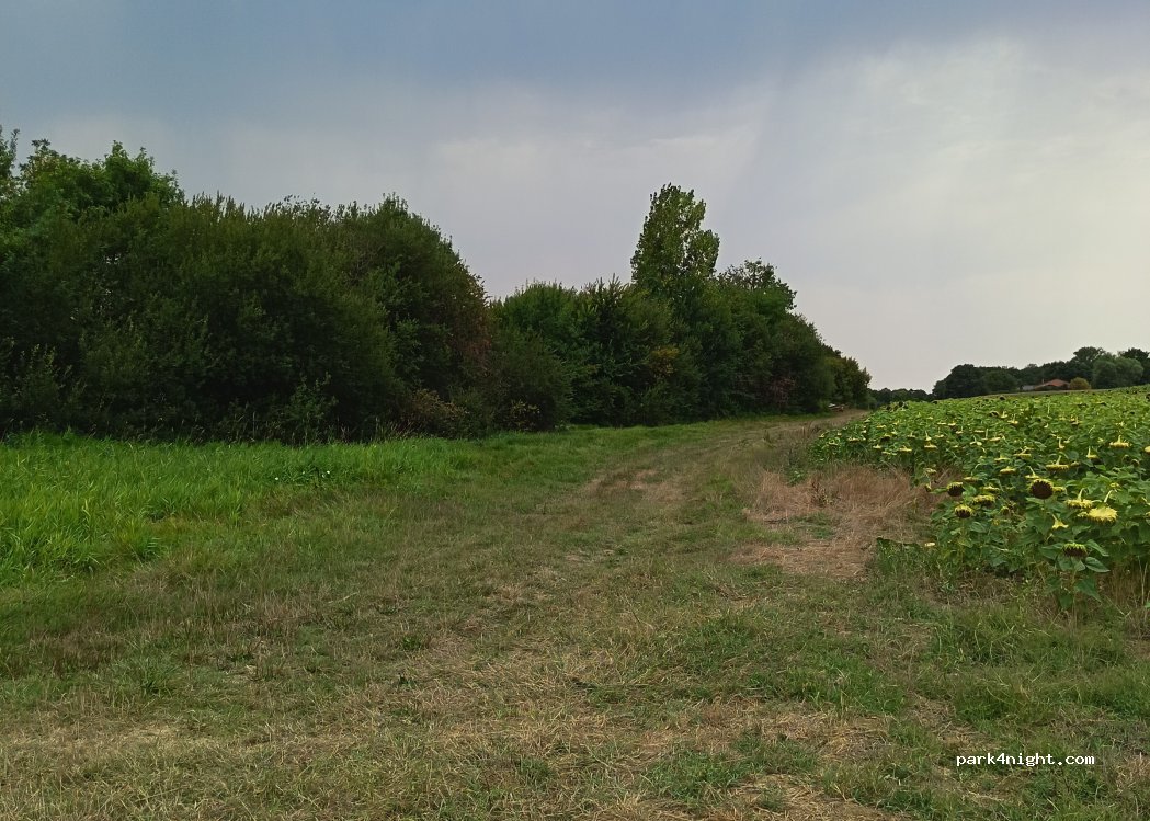 (31480) Garac - 21 Picard — foto