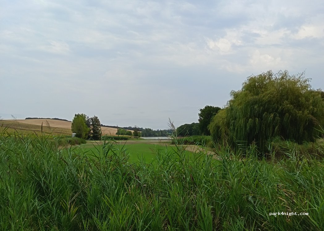 (31480) Garac - 21 Picard — foto 2