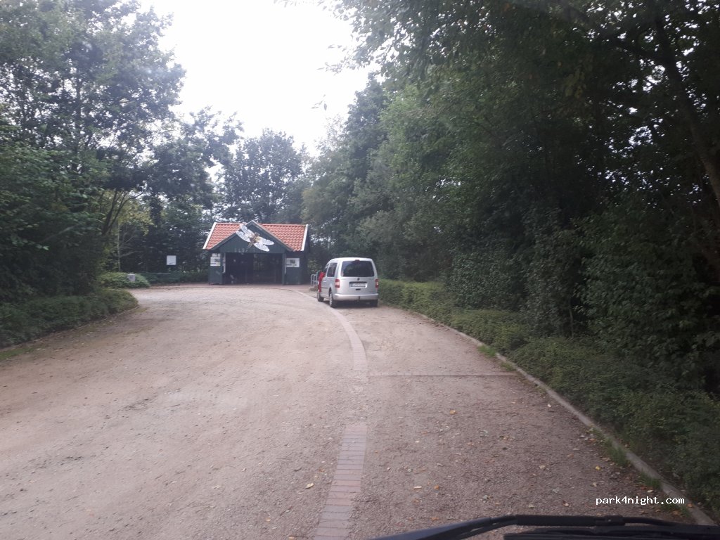 (49696) Molbergen - Falkenfelder Straße — foto