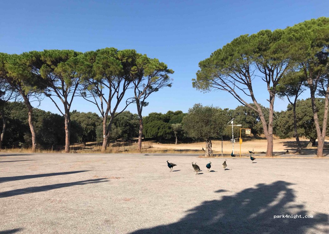 (851 01) Ialisos - Unnamed Road — foto 2