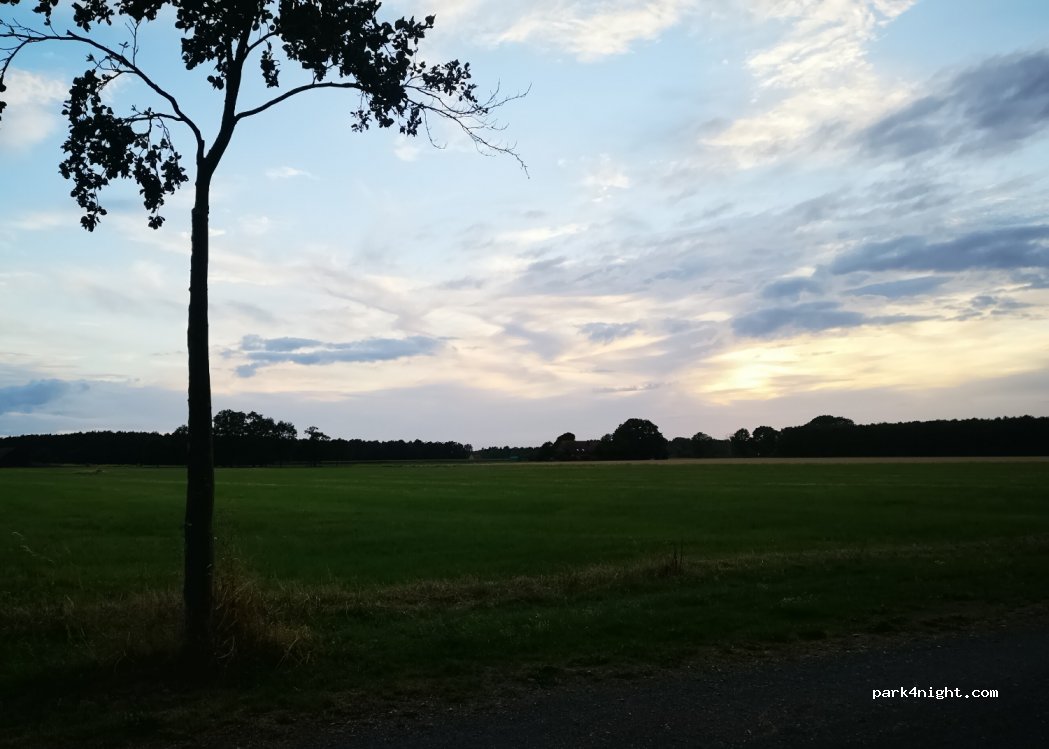 (32479) Hille - 300 Lavelsloher Weg — foto 3