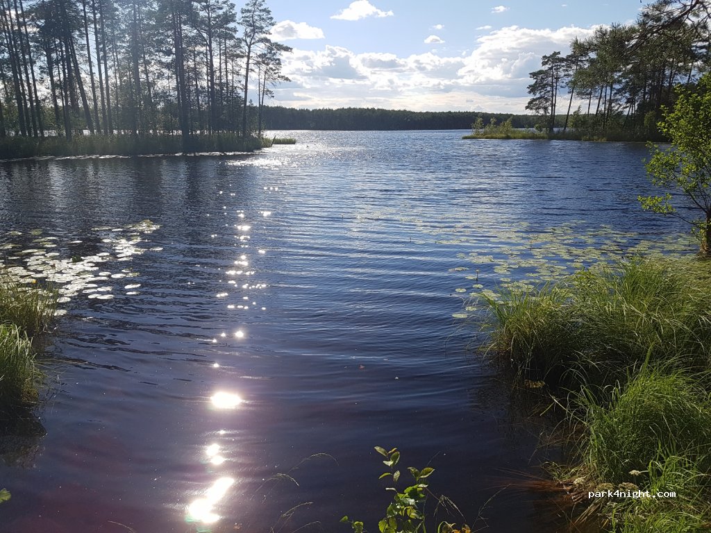 (607150) Mukhtolovo - Ulitsa Zavodskaya — foto 3