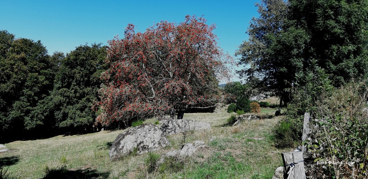 (48310) Brion - Brion Village — foto 2