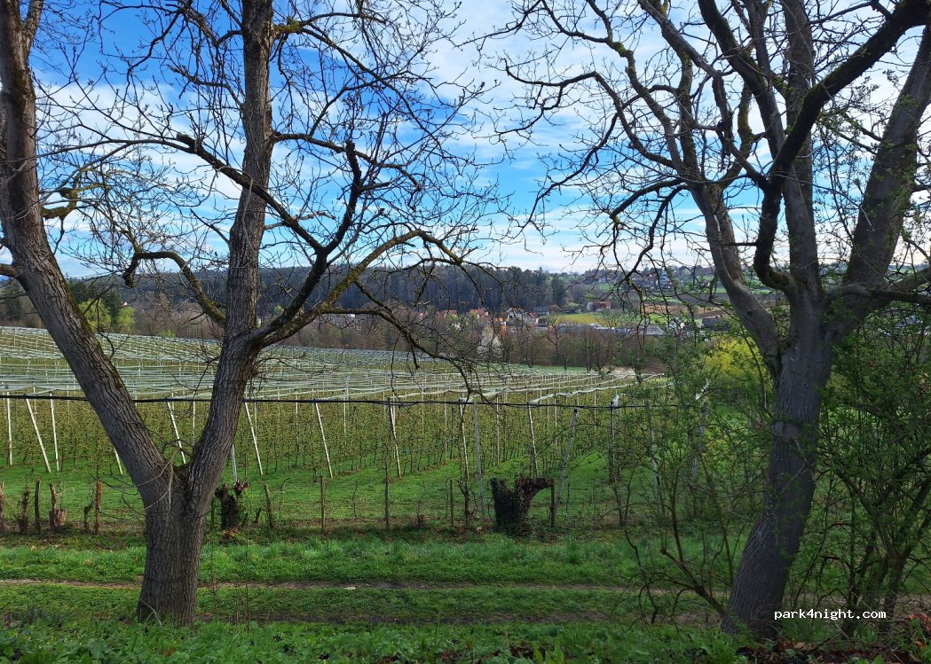 (8510) Stainz - 4 Schloßplatz — foto 2
