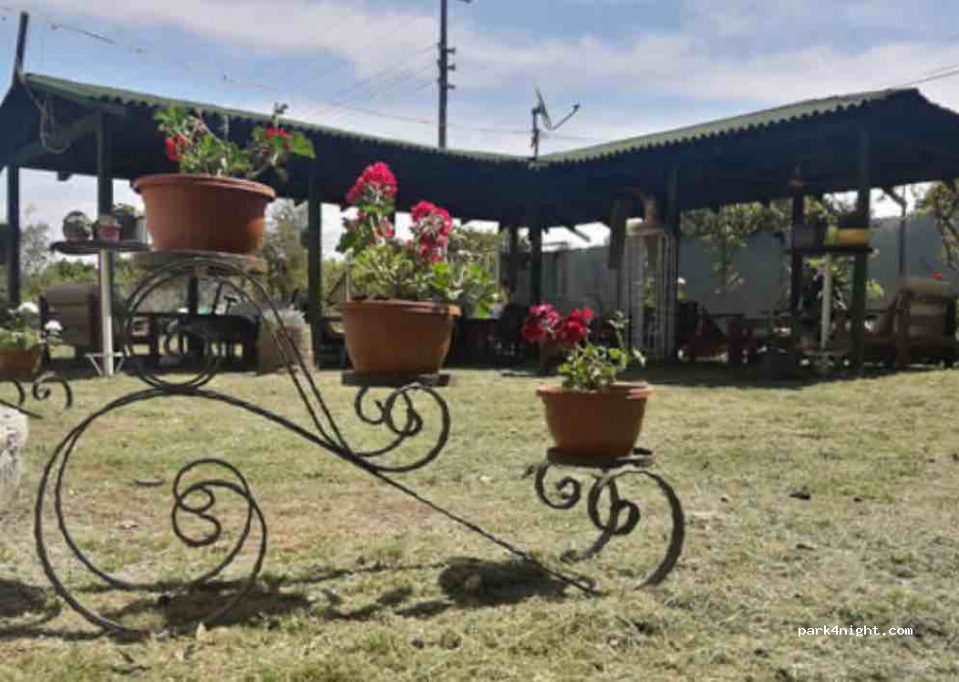 Dalyan Doğa Camping — foto 2