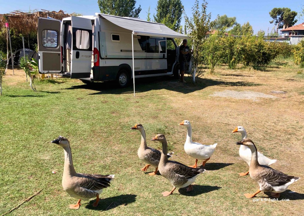 Dalyan Doğa Camping — foto 3