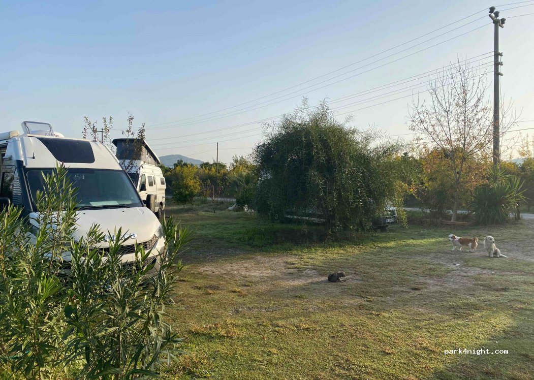 Dalyan Doğa Camping — foto 4