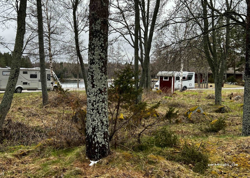 (82596) Langvind - Harbour — foto 3