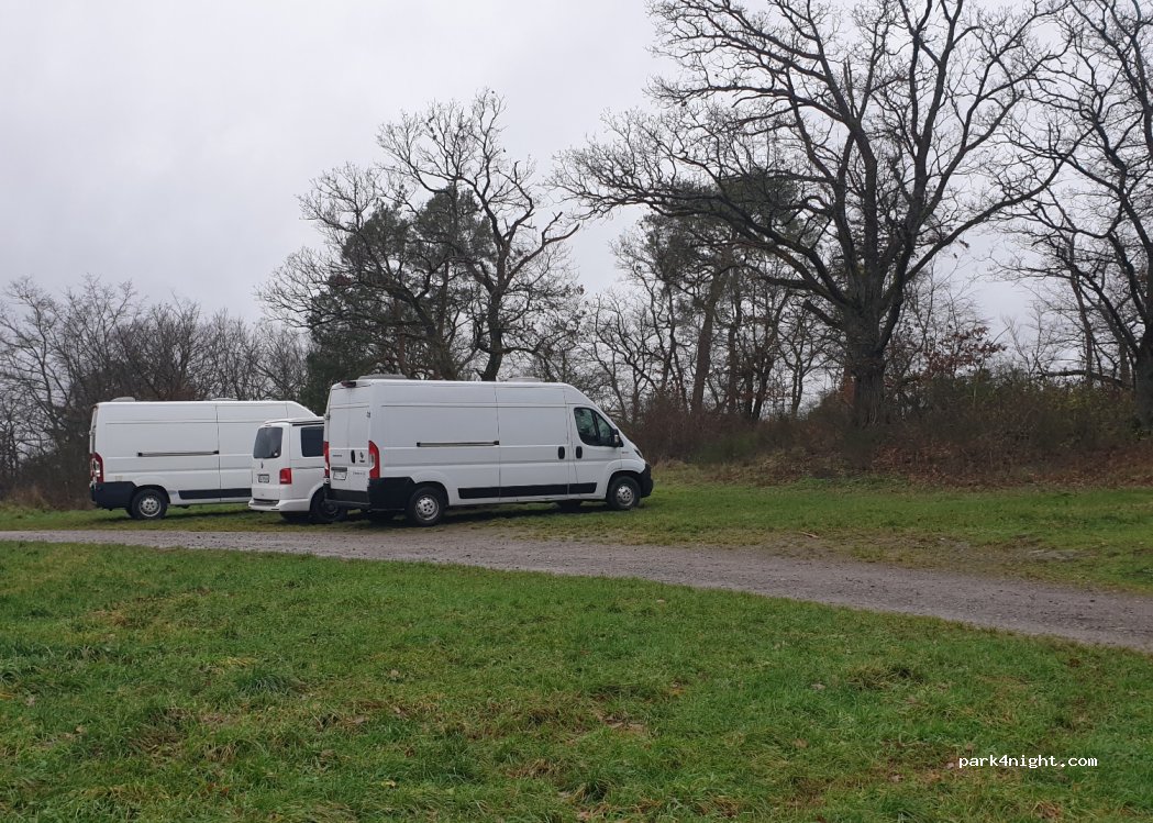 (56858) Liesenich - L200 — foto