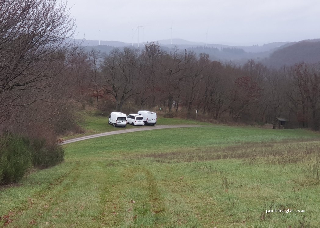 (56858) Liesenich - L200 — foto 2