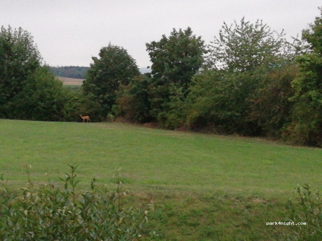(56651) Niederzissen - 23 Arweg — foto