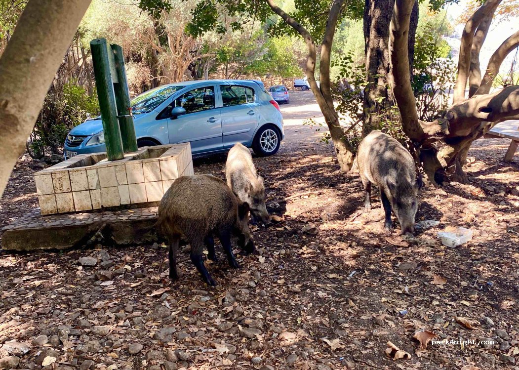 (09430) Kuşadası - Milli Park Caddesi — foto